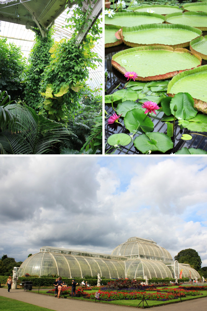 KEW_GARDEN4