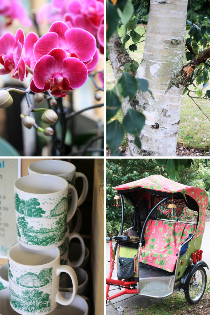 KEW_GARDEN9