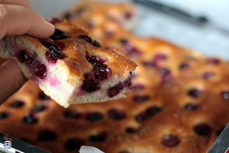 schiacciata all'uva