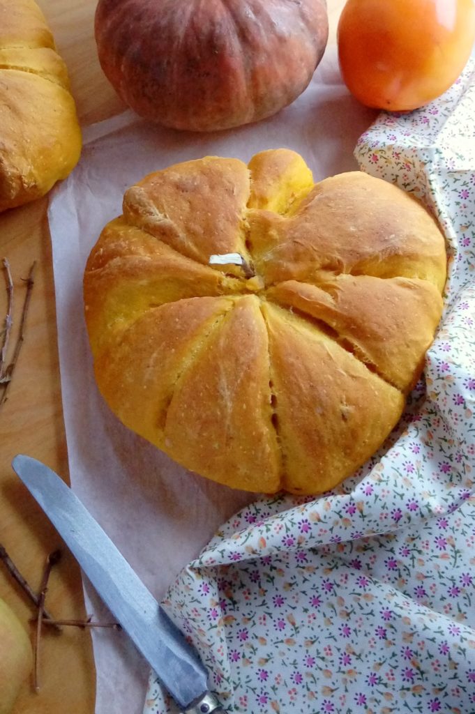 PANE_DI_ZUCCA_1