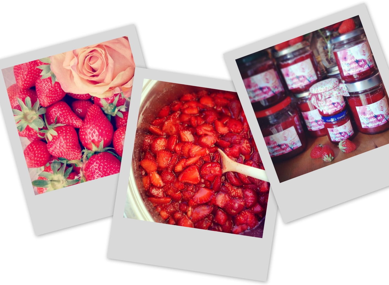FRAGOLE_ROSE_3