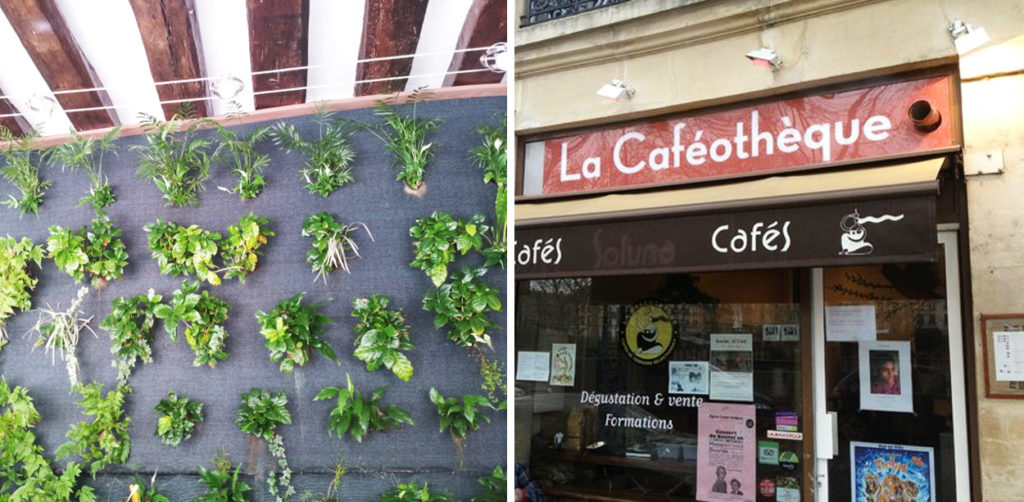 CAFE_PARIS_6